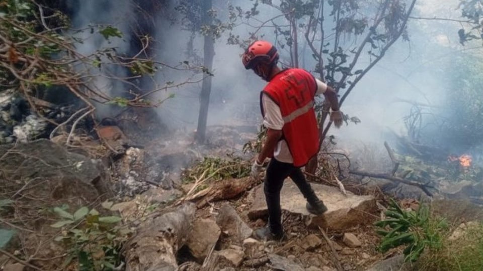 Siete Mueren en Accidente de Helicóptero Durante Safari en Kenia