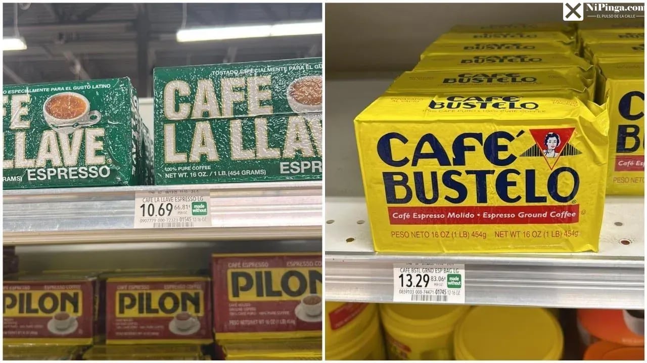 El Hambre de Cada Día: Cebolla, Café y la Lucha del Pueblo