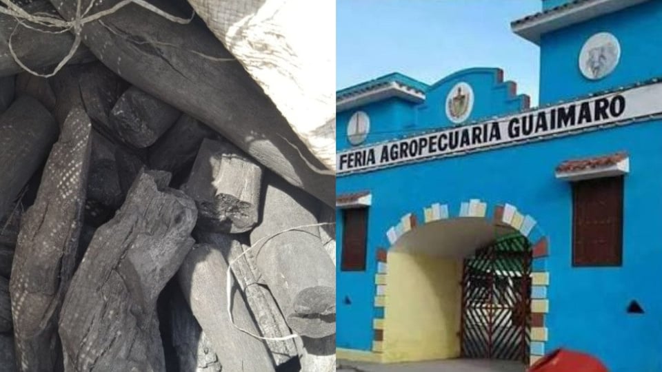 Prohíben y multan venta de carbón en Guáimaro en plena crisis eléctrica