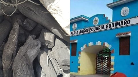 Multas por Venta de Carbón Agravan Crisis Eléctrica en Guáimaro