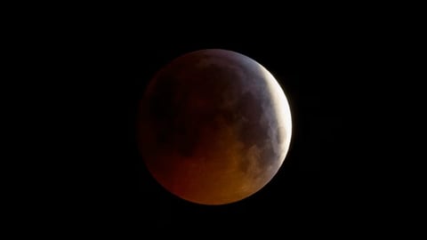 Eclipse Lunar Casi Total Iluminará el Cielo de Florida Sur