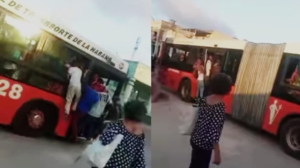 ¿Te quedaste varado? ¡La guagua en La Habana es un bochinche de esperanza y sudor!