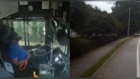 Conductor de autobús se queda dormido y choca contra árboles en Georgia