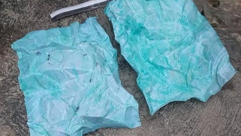Desarticulan red de drogas en Manzanillo con más de 150.000 pesos incautados