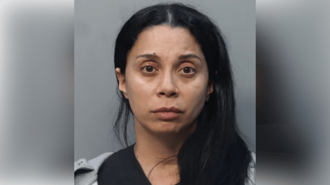 Operación de Recuperación Ilegal Desmantelada en Hialeah