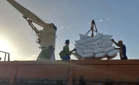 Llega arroz a Camagüey: un soplo de alivio ante la escasez