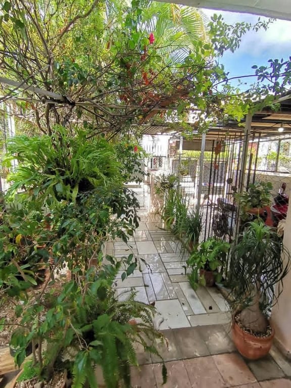 el-arca-de-noe-del-vedado-casa-independiente-de-2-plantas-con-todo-adentro-03.jpg