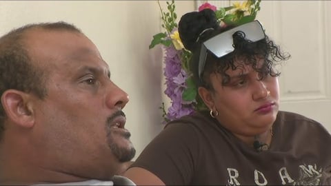 Cubano en Florida: Liberado de "Alligator Alcatraz", ahora enfrenta deportación