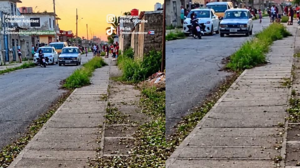 ¡Susto en Cárdenas! Arrestan a 'El Oso' y una vecina se desmaya en plena calle