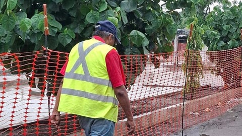 Cuban Migrants Face Wage Theft in Tapachula Construction Projects