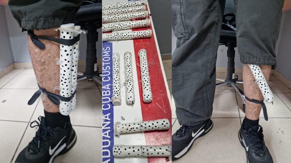 ¡Escándalo en el Jose Martí! Pasajero con 28 pájaros escondidos… ¡en los tubos!