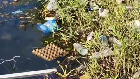 Basura Inunda Río San Juan en Matanzas, Denuncian Deterioro Ambiental