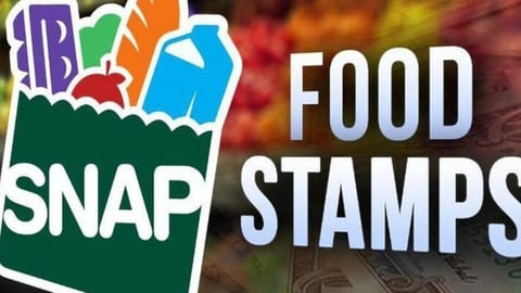 Red de Fraude Millonario con Food Stamps Desmantelada en Florida