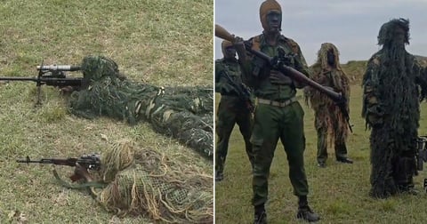 ¿Qué se traman las Avispas Negras de Cuba? ¡Guerra si nos la buscan!