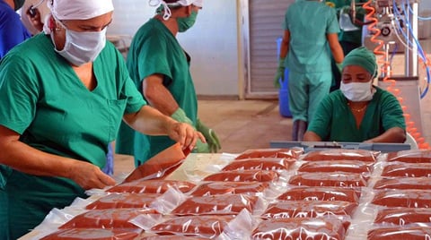 Mipymes privadas, motor esencial para la comida en Cuba