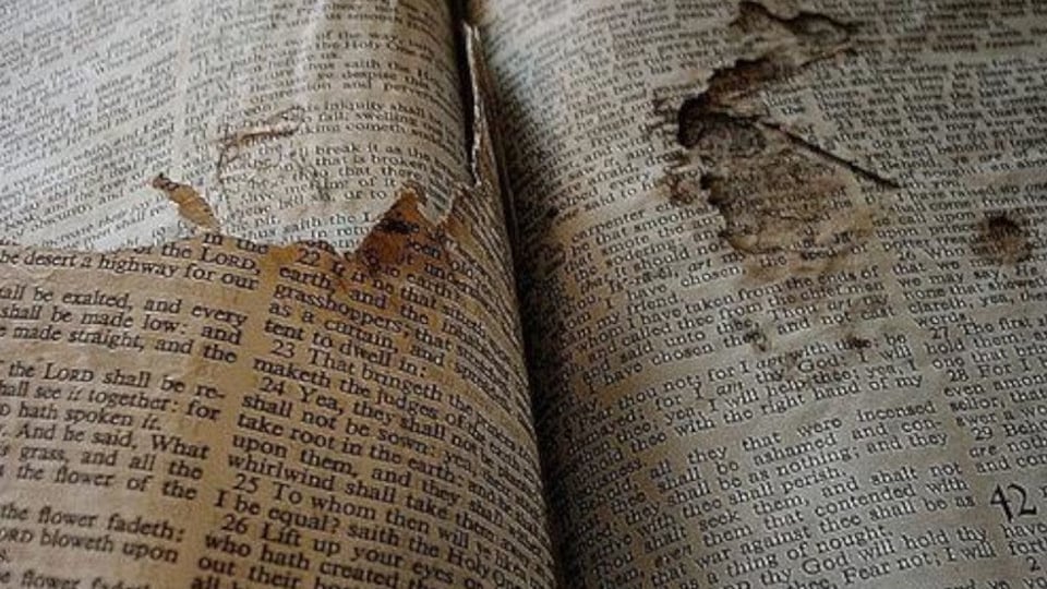 ¿La Biblia en el baño público cubano? ¡El dilema entre lo sagrado y la escasez!