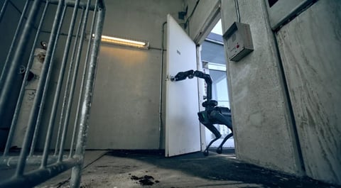 ICE Explora Robots Caninos para Vigilancia Migratoria