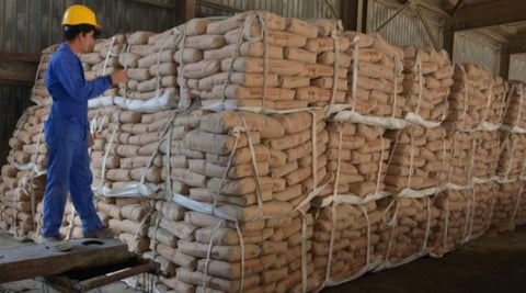 Cuba Prioritizes Cement for Oil Industry Amidst Energy Challenges