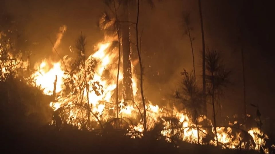 ¿Apocalipsis Verde en Pinar del Río? Incendio Gigante Devora Bosques por Nueve Días