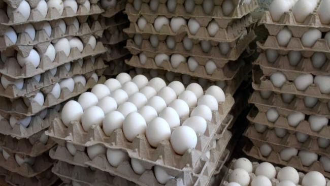 ¿A Mil 500 Pesos el Cartón de Huevos? ¡Artemisa se Corona en Crisis!