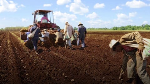 Emigrados Cubanos Critican la Oferta de Tierras en Usufructo