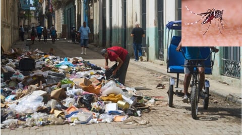 El Dengue Avanza en Cuba: Crisis de Servicios Básicos Agrava la Situación Sanitaria