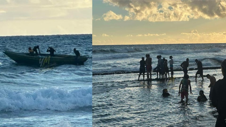 ¡Cinco Tigres Haitianos Llegan a Playa Cubana en Bote de Papel!