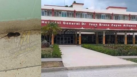 ¿Ratas en la cuna? ¡Bochinche en el hospital de Santiago!