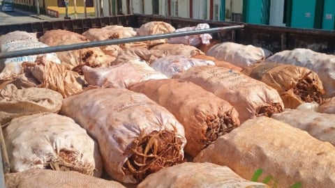 Confiscan camión del Estado con alimentos en Guantánamo
