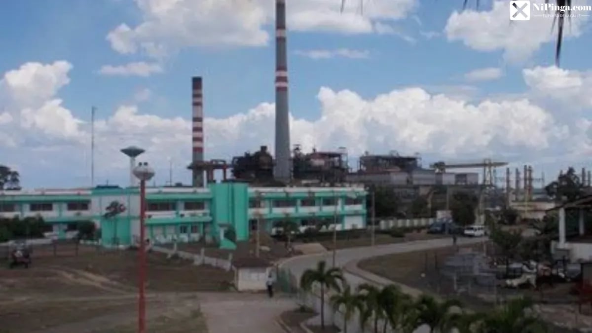 Se jodió otra vez. El Rumor de la Chispa que se Apaga