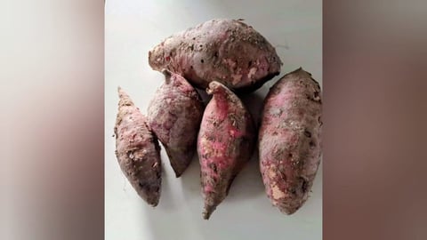 Cinco Boniatos 'Feos' Cuestan 200 CUP: Denuncian Abuso de Precios en Cuba