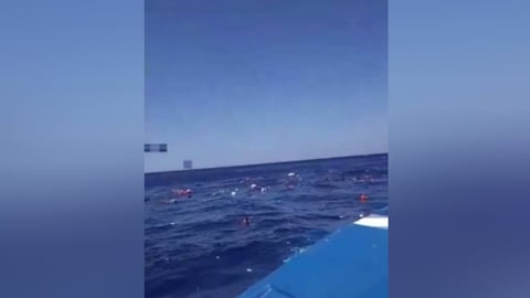 ¿Qué pasó en el Caribe? Pelea a machete causa naufragio con muertos y desaparecidos