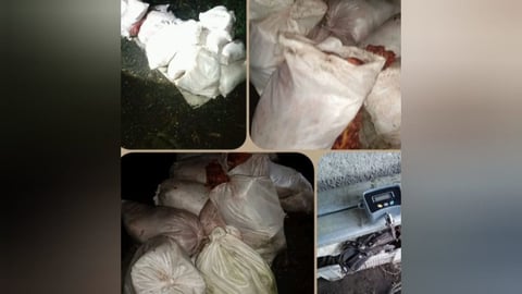 Carne Ilegal Incautada y Detenciones en Corralillo