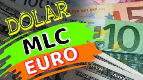 Dólar y Euro se Mantienen Altos; MLC Fluctuante en Mercado Informal Cubano