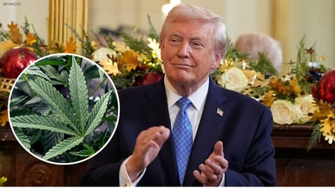 Trump impulsa reclasificación de la marihuana para uso médico en EE.UU.