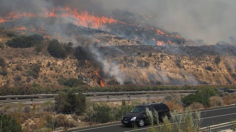 Tragedia en Almería: Incendio Forestal Deja al Menos 12 Muertos y 23 Desaparecidos