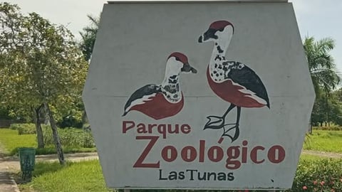 Las Tunas Zoo Admits Failures After Lion's Death, Cites Animal Neglect