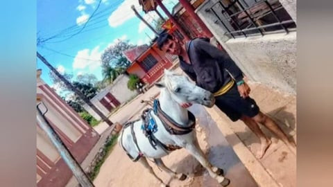 Caballo Robado en Mayabeque: Ofrecen Recompensa de 100 mil Pesos