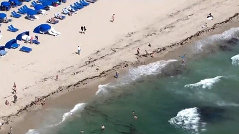 Más de 80 rescates y una víctima fatal en playas del sur de Florida durante fin de semana de Pascua