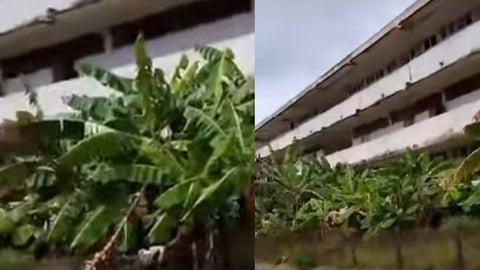 ¿SeCayó la 'Victoria de Girón'? La Escuela que Fue Orgullo de América Latina Hoy es Ruina