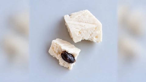 Garrapata en Queso: Preocupación por Higiene Alimentaria en La Habana