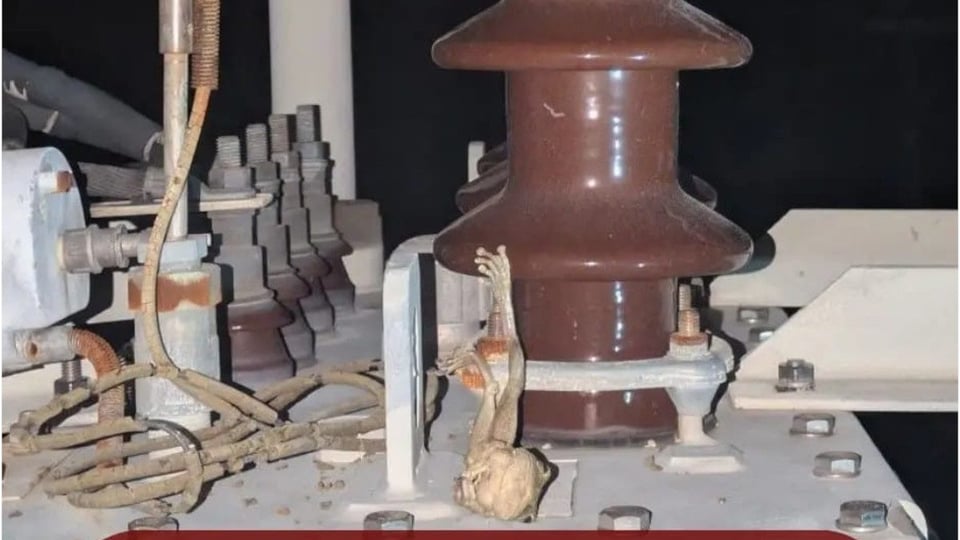 ¡Sapo eléctrico! Dejó a Sancti Spíritus a oscuras y con la gente echando chispa