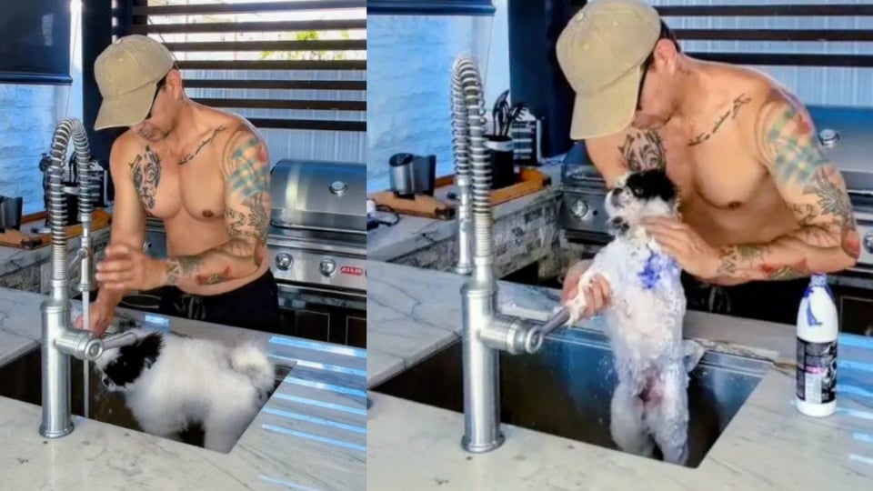 ¡Leoni Torres Armó Tremendo Revuelo Por Bañar a su Perro en un Fregadero!