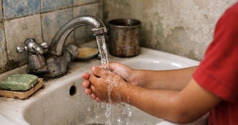 ¡Ay, mi madre! ¿Ciego de Ávila se puso amarillo o es la hepatitis que llegó de visita?