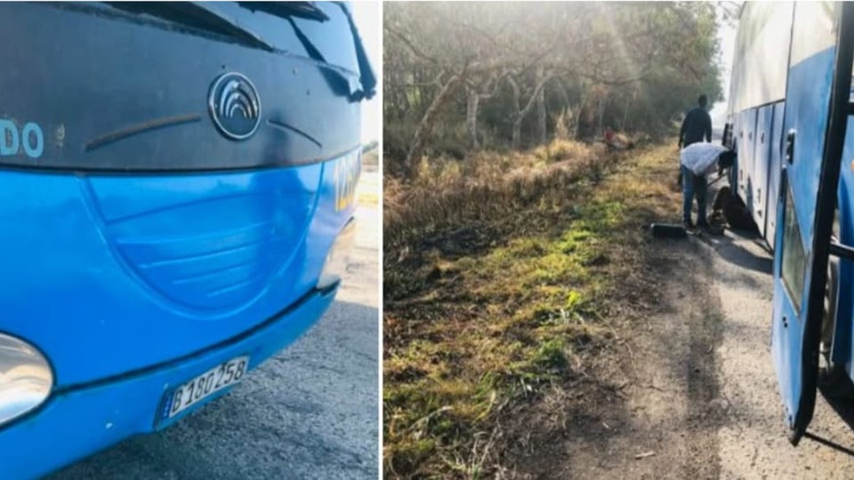 ¿Se te olvidó que viajabas? ¡Omnibus pa' La Habana se convierte en odisea de 20 horas!