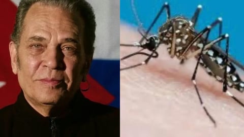 Actor Cubano Luis Alberto García Advierte Sobre Crisis Sanitaria y Riesgo de Epidemias