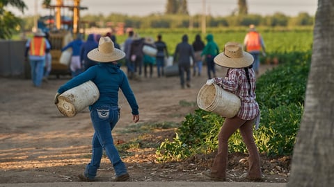 ¿Y el muro y la puerta? Hispanos le exigen a Trump visa de emergencia