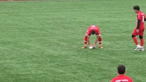 Capitán de fútbol turco salva a gaviota golpeada por balón con RCP