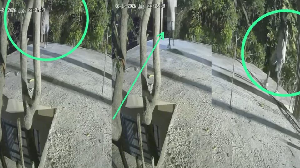 ¿Miguelito el Enano’ Acecha Párraga? Vecinos Denuncian Ola de Robos y Difunden Fotos del Sospechoso en Techos