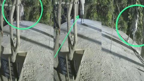 Vecinos de Párraga en La Habana denuncian ola de robos y señalan a un sospechoso